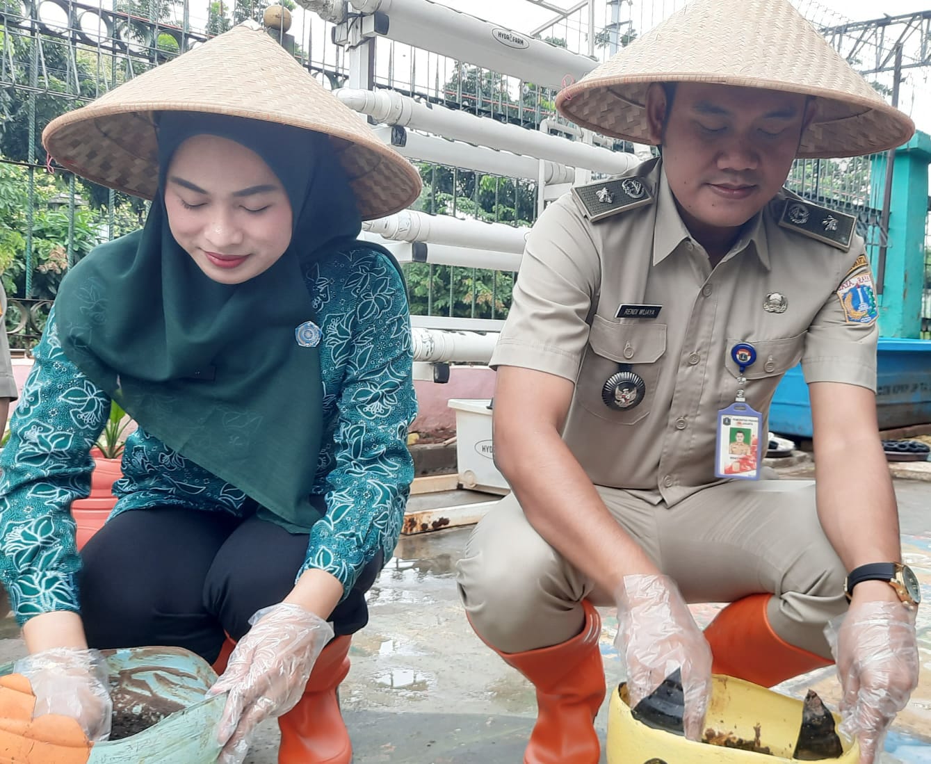Tanam Serentak